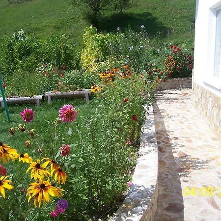 Guest house Zora Beden
