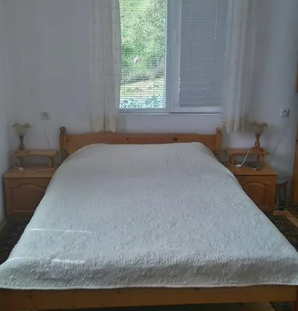 Zora Guest house